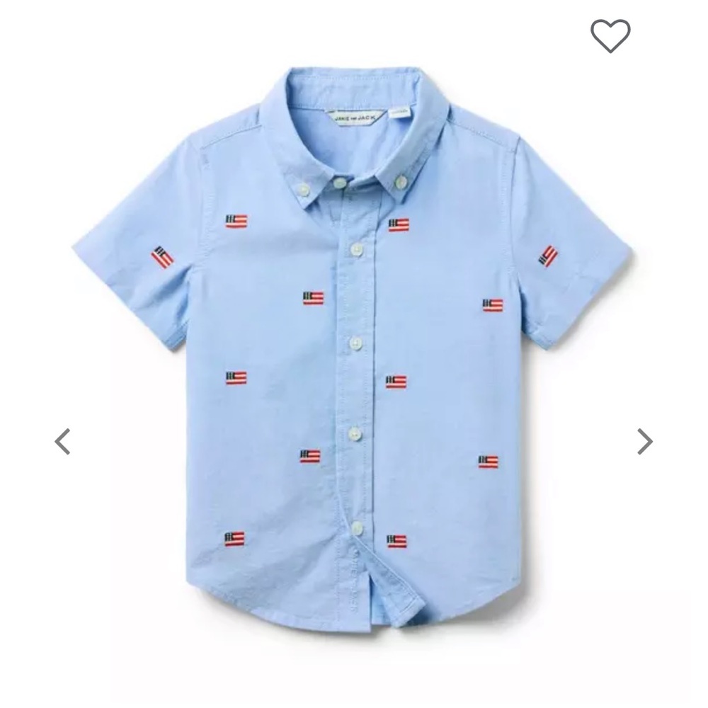 Embroidered Oxford Flag Shirt